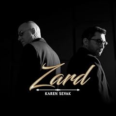Zard usato  Spedito ovunque in Italia 