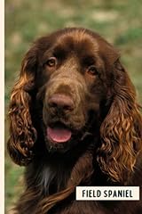 Field spaniel perfect for sale  Delivered anywhere in UK