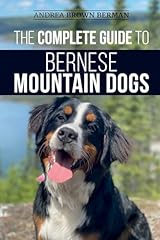Complete guide bernese for sale  Delivered anywhere in UK