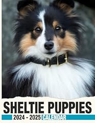 Sheltie puppies calendar for sale  Delivered anywhere in UK