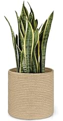 Dahey jute rope for sale  Delivered anywhere in USA 