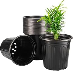 Lepohome 24pack gallon for sale  Delivered anywhere in USA 