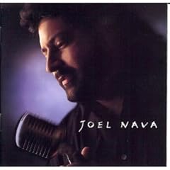Joel nava usato  Spedito ovunque in Italia 