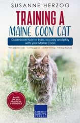 Training maine coon for sale  Delivered anywhere in Ireland