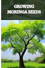 Growing moringa seeds for sale  Delivered anywhere in USA 