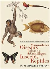Planches dictionnaire histoire d'occasion  Livré partout en France