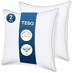 Tesq oreiller 65x65 d'occasion  Livré partout en France