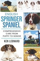 English springer spaniel for sale  Delivered anywhere in UK