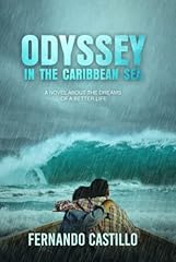 Odyssey the caribbean d'occasion  Livré partout en France