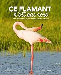 Flamant rose d'occasion  Livré partout en France