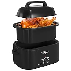 Sunvivi quart electric for sale  Delivered anywhere in USA 