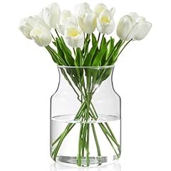 Bwodyay clear glass for sale  Delivered anywhere in USA 