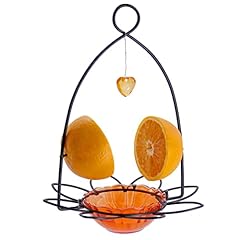 Forup oriole bird for sale  Delivered anywhere in USA 