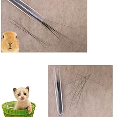 Animal whiskers crafts for sale  Delivered anywhere in USA 