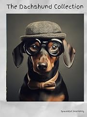 Dachshund collection portraits for sale  Delivered anywhere in USA 