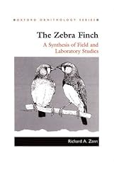 Zebra finch synthesis for sale  Delivered anywhere in UK