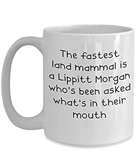 Lippitt morgan mugs for sale  Delivered anywhere in USA 