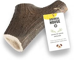 Animal house corna usato  Spedito ovunque in Italia 