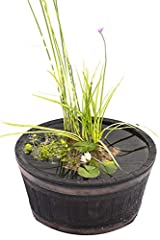 Pondplantsuk complete patio for sale  Delivered anywhere in UK