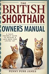 British shorthair owner for sale  Delivered anywhere in USA 
