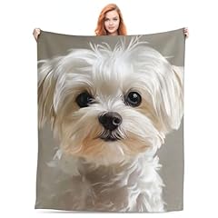 Cute maltese dog for sale  Delivered anywhere in USA 