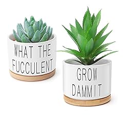 Popvip succulent pots for sale  Delivered anywhere in USA 