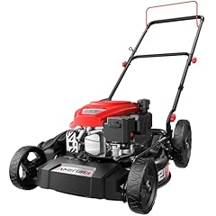 Amerisun gas lawn for sale  Delivered anywhere in USA 
