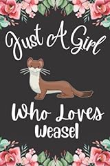 Weasel gifts girl for sale  Delivered anywhere in UK