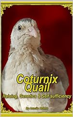 Coturnix quail raising for sale  Delivered anywhere in USA 