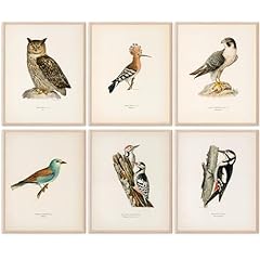 Vintage bird art for sale  Delivered anywhere in USA 