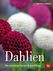 Dahlien schönsten sorten gebraucht kaufen  Wird an jeden Ort in Deutschland