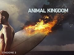 Animal kingdom stagione usato  Spedito ovunque in Italia 