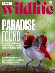 Bbc wildlife magazine for sale  Delivered anywhere in UK