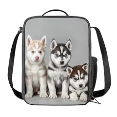 Sannovo cute husky for sale  Delivered anywhere in USA 