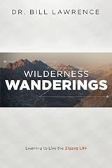 Wilderness wanderings learning for sale  Delivered anywhere in USA 