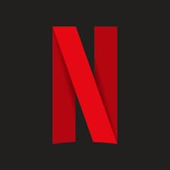 Netflix usato  Spedito ovunque in Italia 