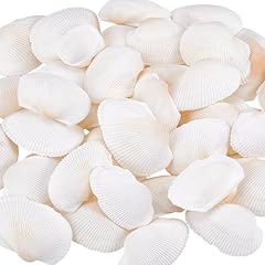 Pandahall 40pcs inch for sale  Delivered anywhere in USA 