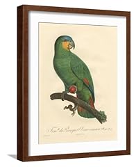 Art.com wall art for sale  Delivered anywhere in USA 