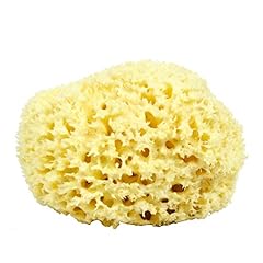 Neptune natural sea for sale  Delivered anywhere in USA 