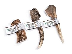 Highland antler natural for sale  Delivered anywhere in UK