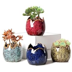 Yyw succulent pots for sale  Delivered anywhere in USA 