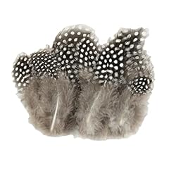 Guinea fowl feathers for sale  Delivered anywhere in UK