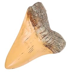 Ciieeo decorazione dente usato  Spedito ovunque in Italia 