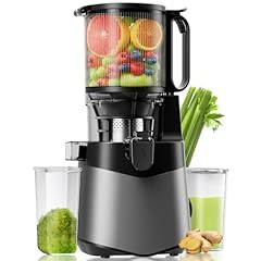 Cold press juicer for sale  Delivered anywhere in USA 
