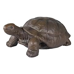 Sunnydaze talia tortoise for sale  Delivered anywhere in USA 