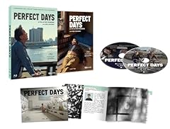 Perfect days usato  Spedito ovunque in Italia 