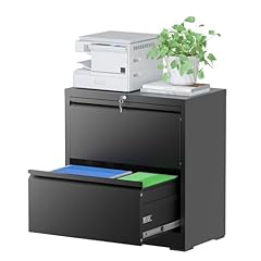 Reegangfa file cabinets for sale  Delivered anywhere in USA 