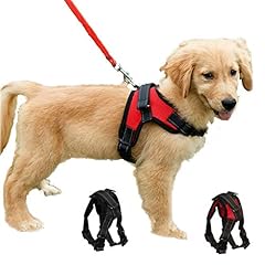 Dog harness pull for sale  Delivered anywhere in UK