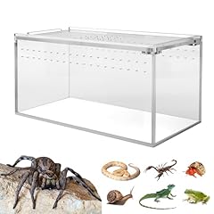 Small acrylic tarantula for sale  Delivered anywhere in USA 