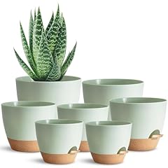 Sun lot pots d'occasion  Livré partout en France